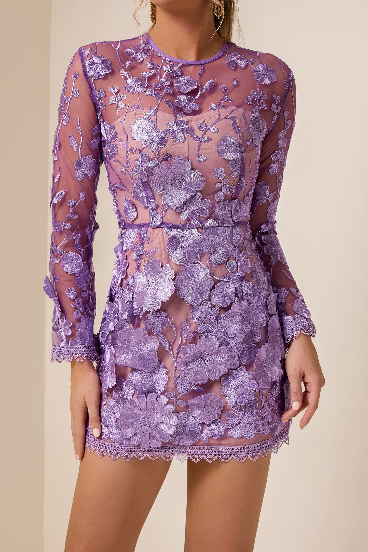 Embroidered Long Sleeve Round Neck Mini Dress