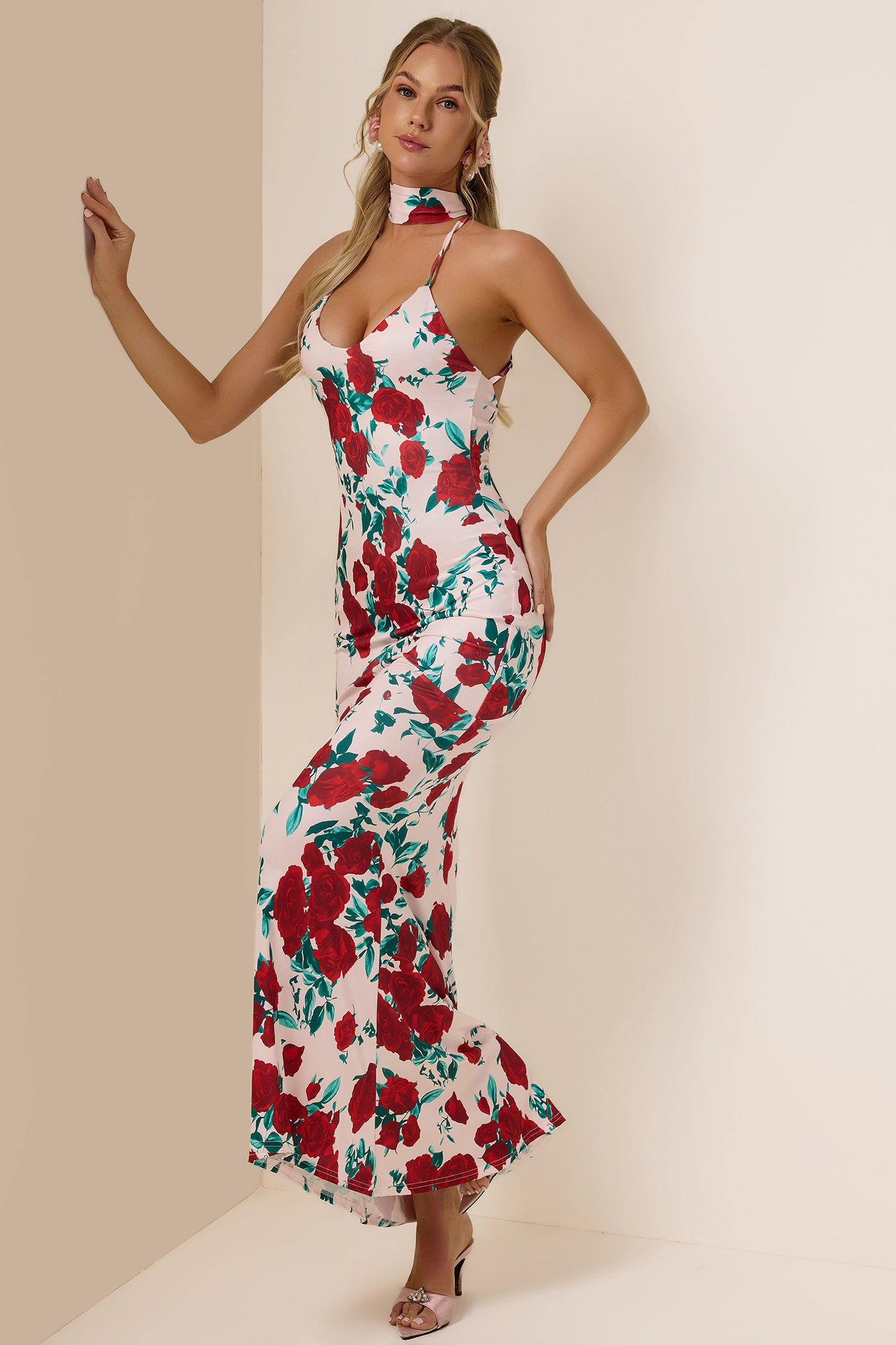 Chiffon Floral Plunge Maxi Dress