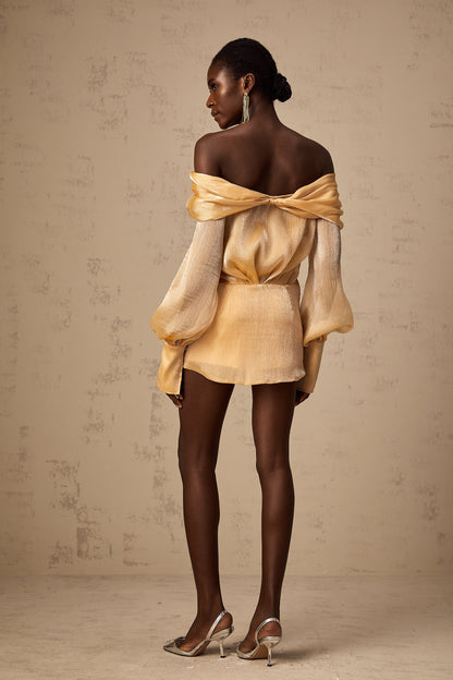 Adelina gold crystal-embellished panelled mini dress