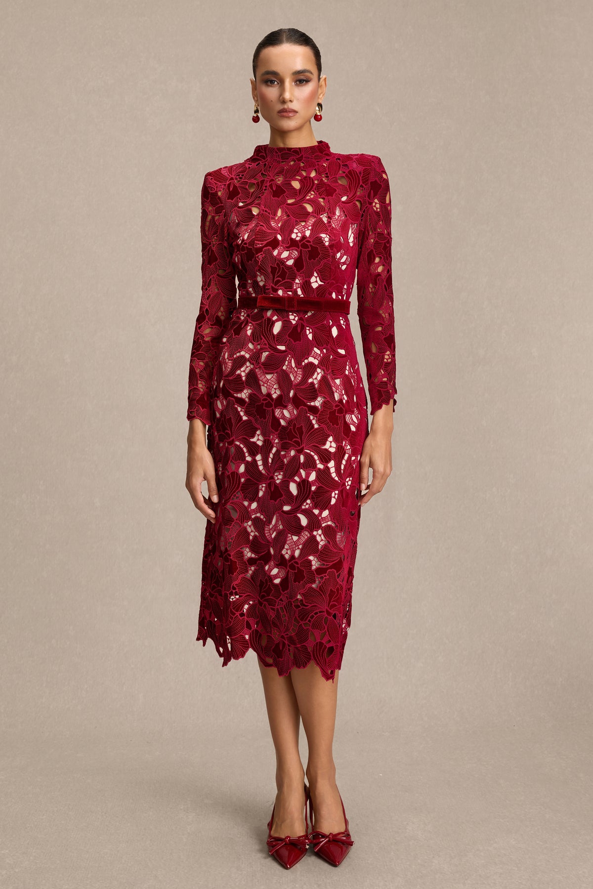 Velvet Embroidered Long Sleeve Midi Dress