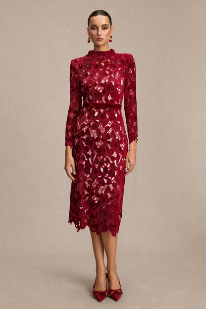 Velvet Embroidered Long Sleeve Midi Dress