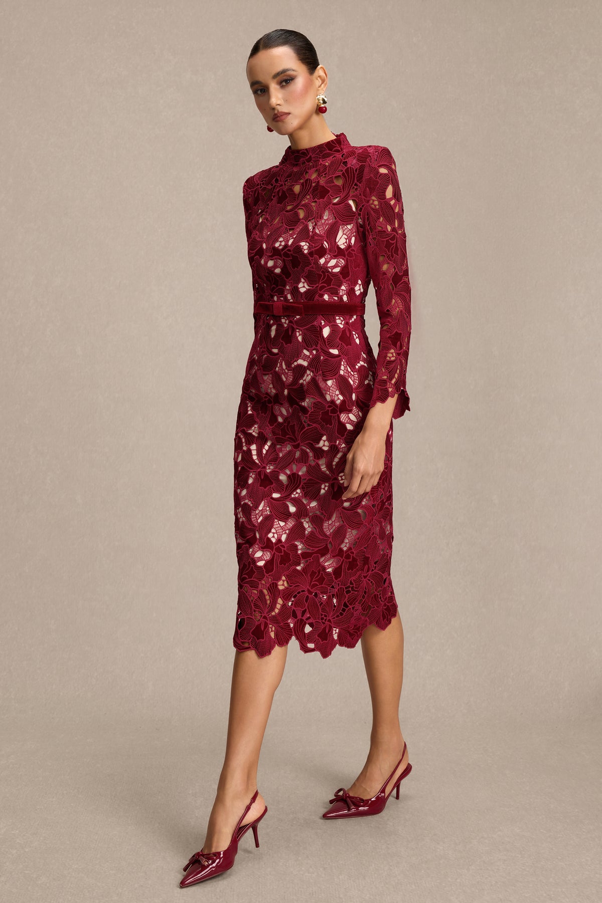 Velvet Embroidered Long Sleeve Midi Dress