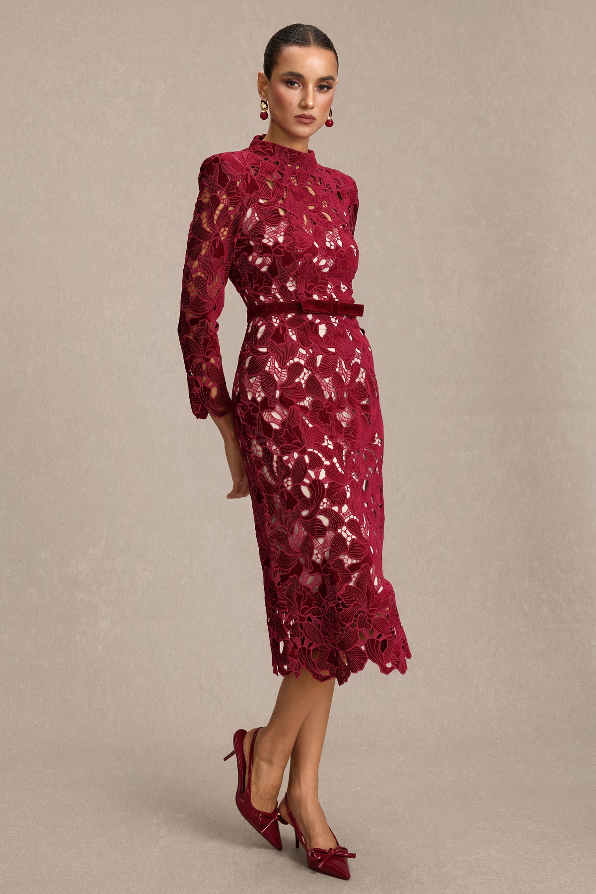Velvet Embroidered Long Sleeve Midi Dress