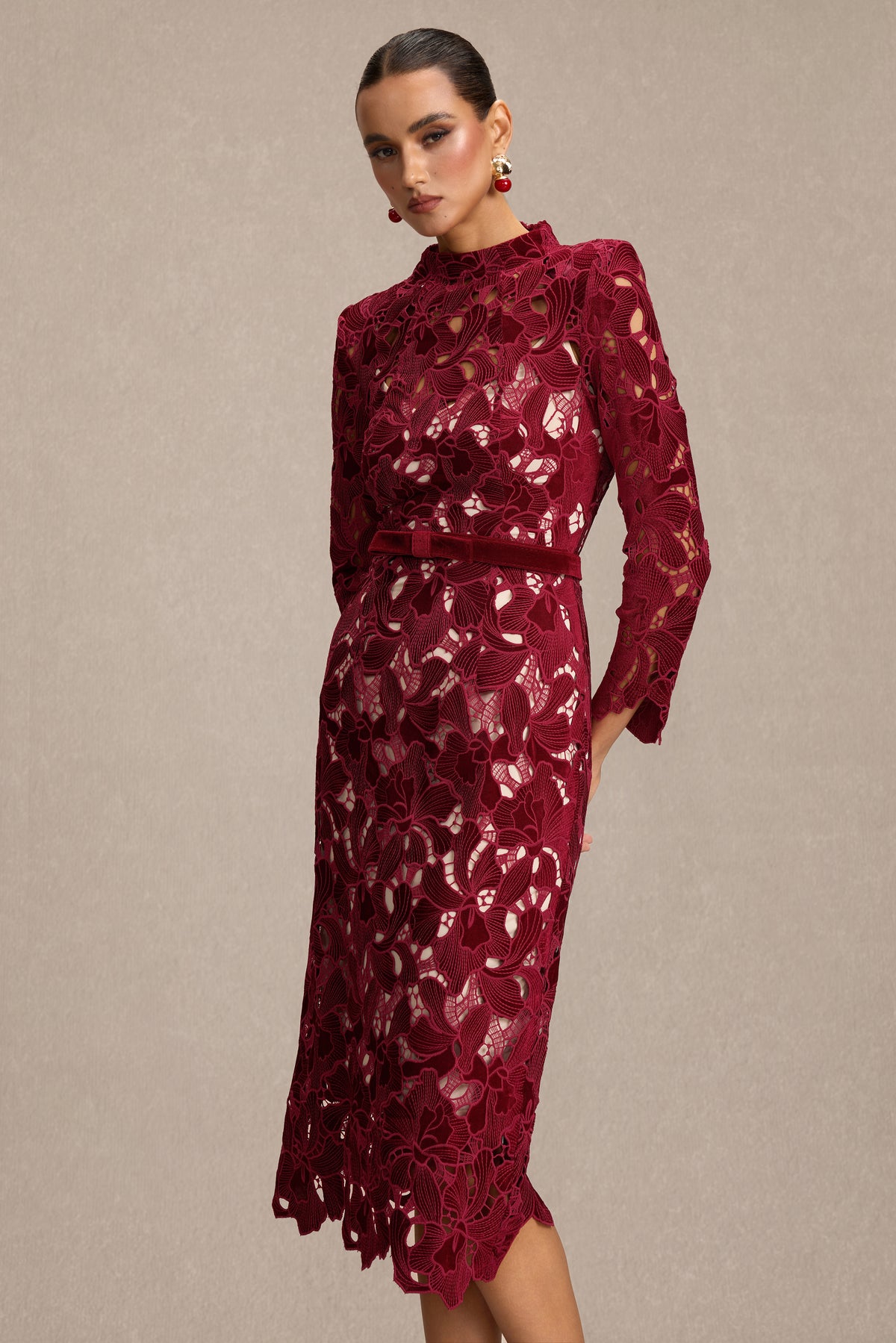 Velvet Embroidered Long Sleeve Midi Dress