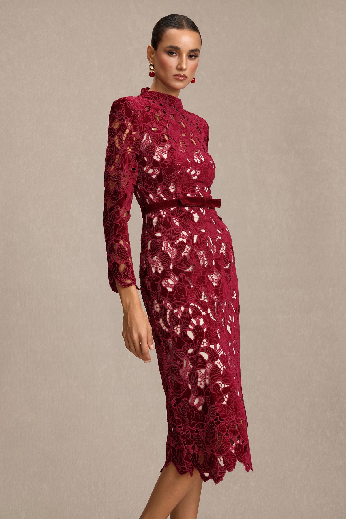 Velvet Embroidered Long Sleeve Midi Dress