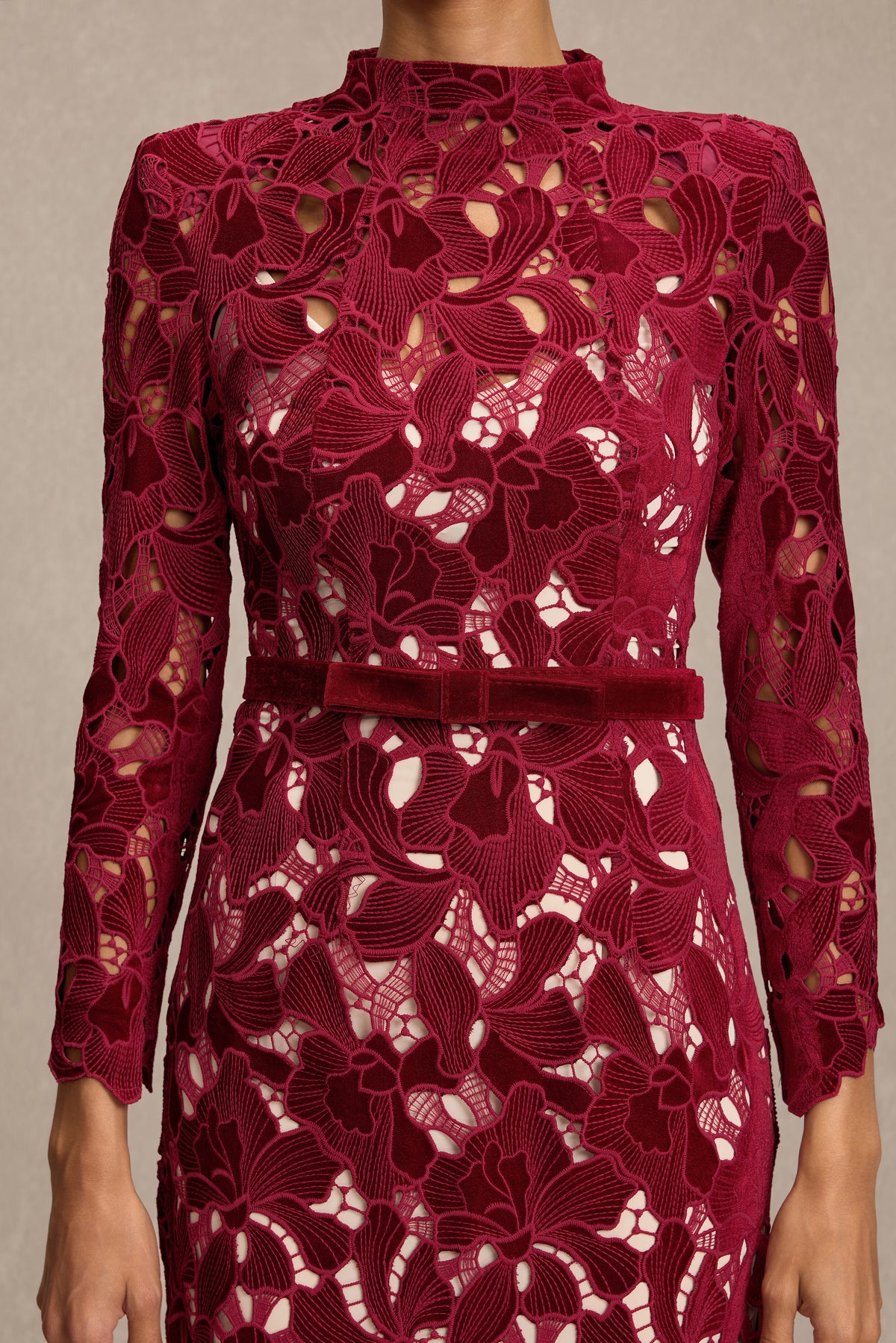 Velvet Embroidered Long Sleeve Midi Dress