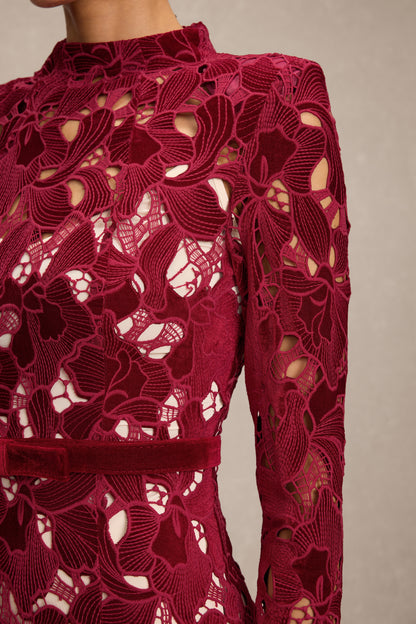 Velvet Embroidered Long Sleeve Midi Dress