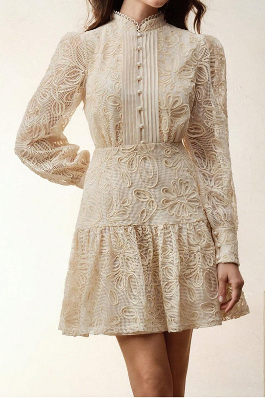 Crochet Faux Pearl Button Mini Dress