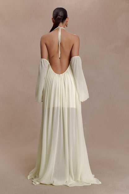 Chiffon Halter Neck Backless Maxi Dress